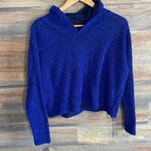 Blue Hooded sweater